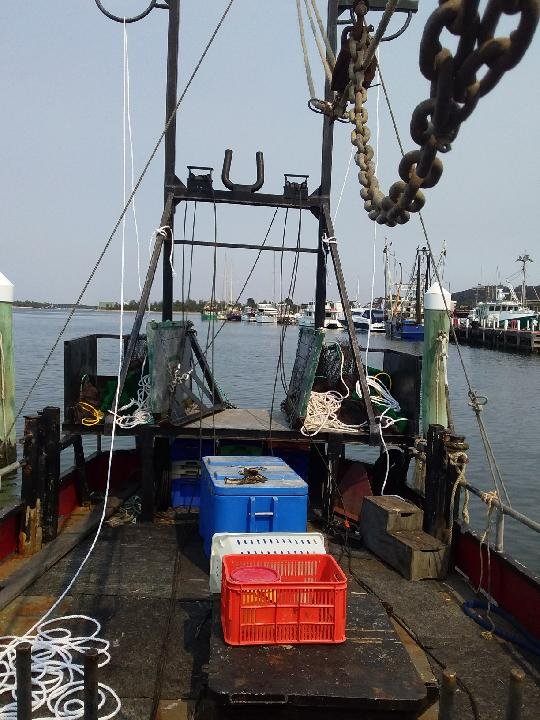 1978 COMMERCIAL FISHING