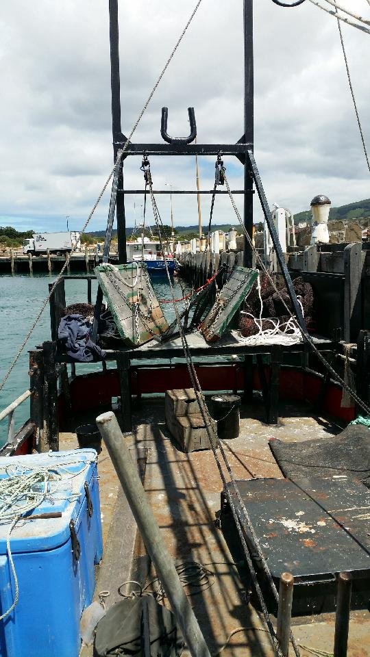 1978 COMMERCIAL FISHING