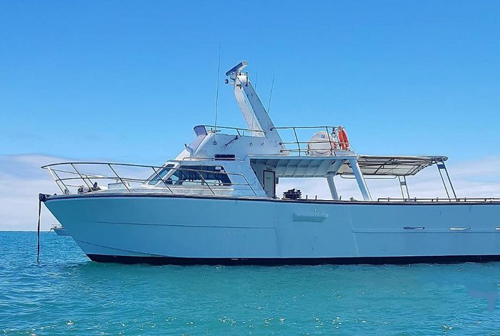 1981 COMMERCIAL CHARTER
