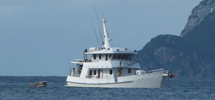 1999 COMMERCIAL Charter