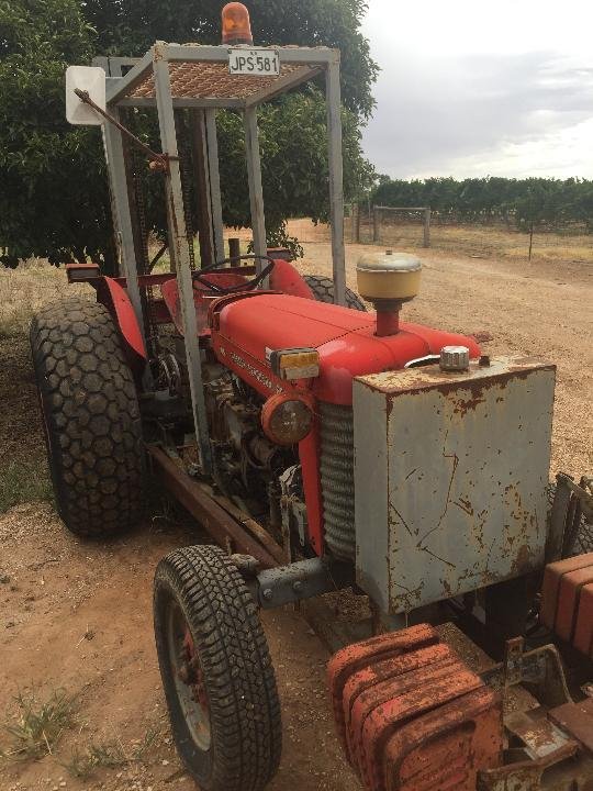 1975 Massey Ferguson 65