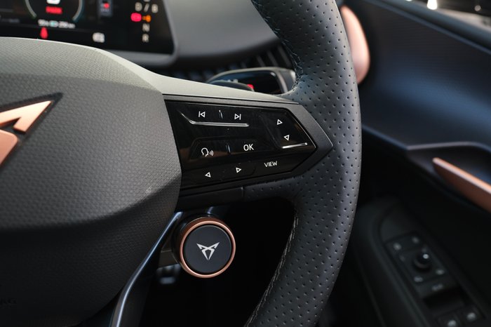 2025 CUPRA Tavascan Endurance