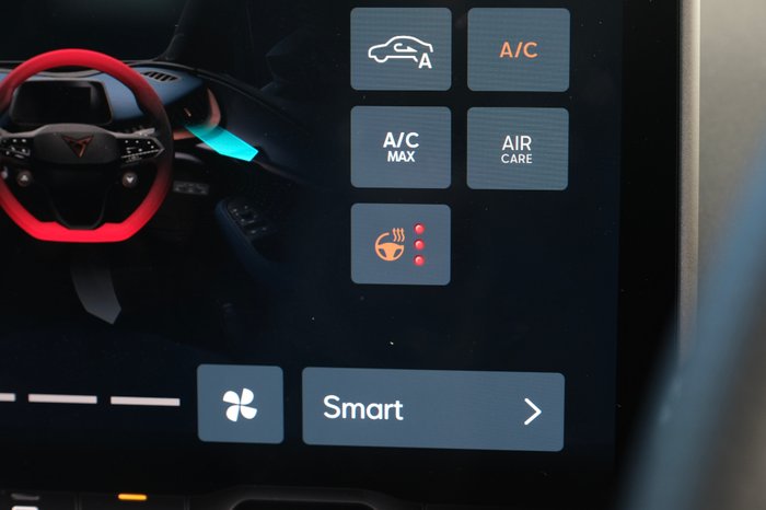 2025 CUPRA Tavascan Endurance