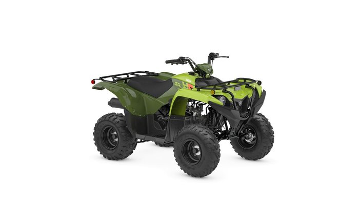 2026 Yamaha  YFM110G GREEN