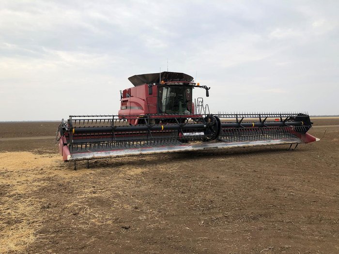 0 CASE IH 3162