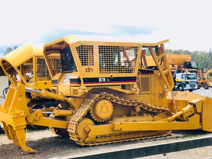 2026 DIXIE SCRUB CANOPY