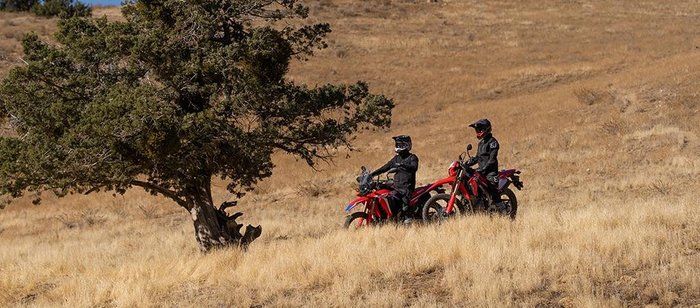 2024 Honda CRF300 Rally CRF Red