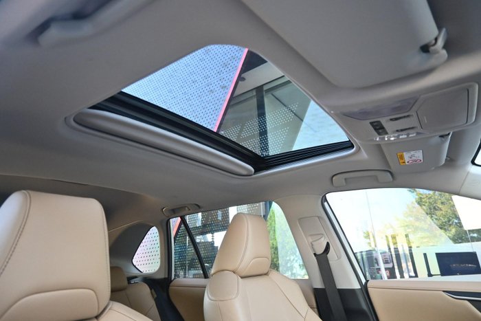 2020 Toyota RAV4 Cruiser