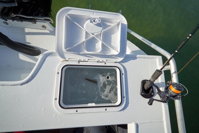 2024 QUINTREX 430 Top Ender