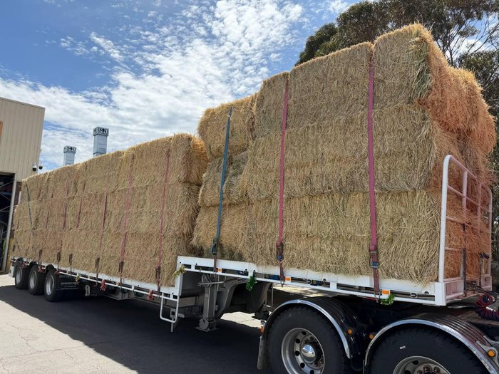 2026 Stonestar Drop Deck