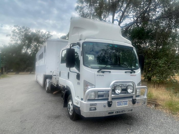 2009 Isuzu Frr 600 WHITE