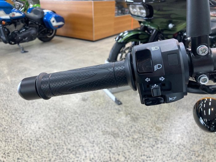 2024 Harley-Davidson X 500 X White