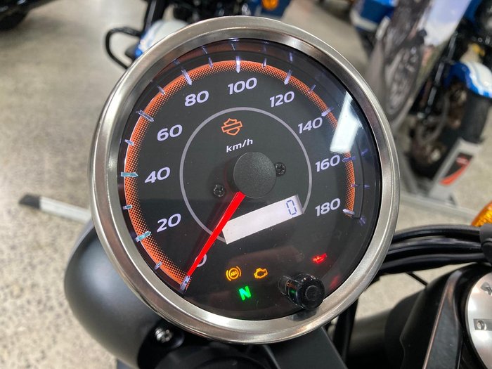 2024 Harley-Davidson X 500 X White