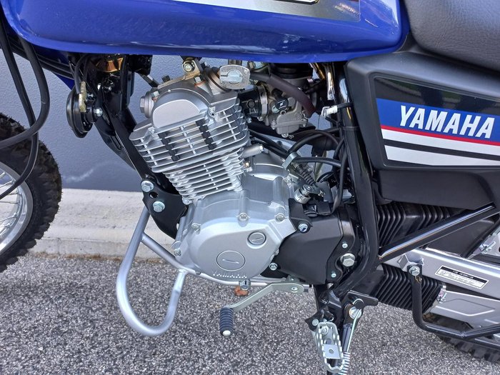 2023 Yamaha AG125 AG Blue