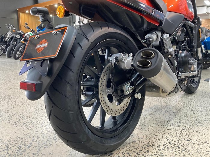 2024 Harley-Davidson X 500 X Orange