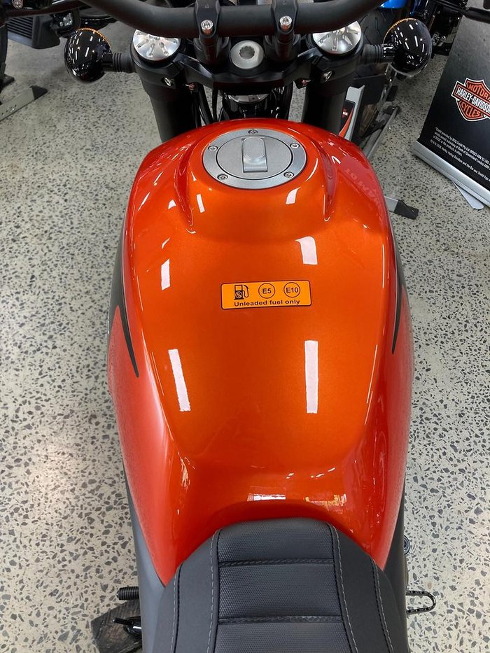 2024 Harley-Davidson X 500 X Orange