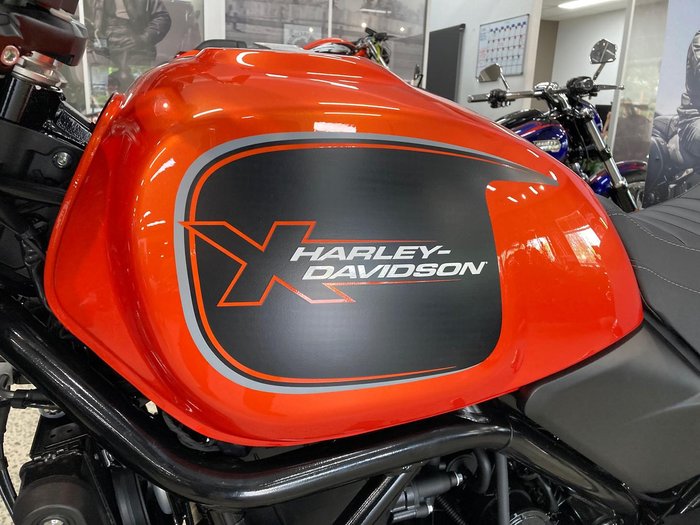 2024 Harley-Davidson X 500 X Orange