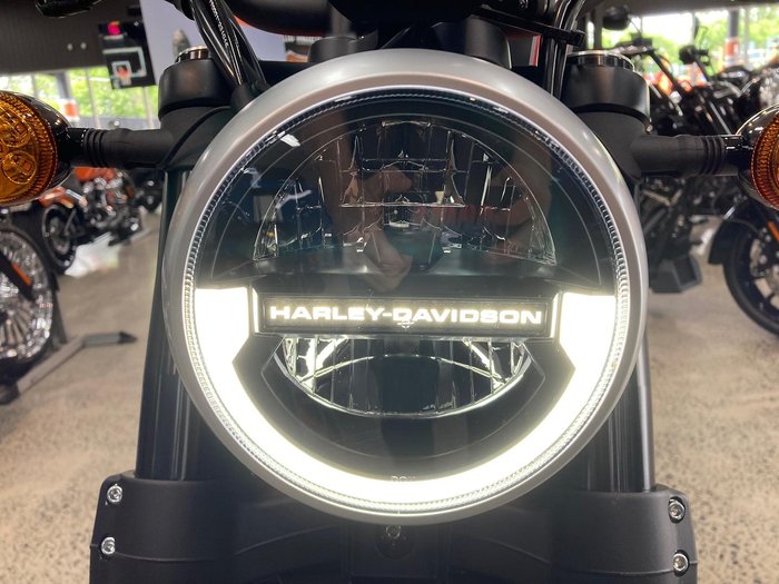 2024 Harley-Davidson X 500 X Orange