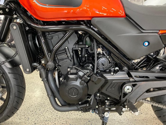 2024 Harley-Davidson X 500 X Orange