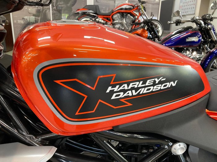 2024 Harley-Davidson X 350 X Orange