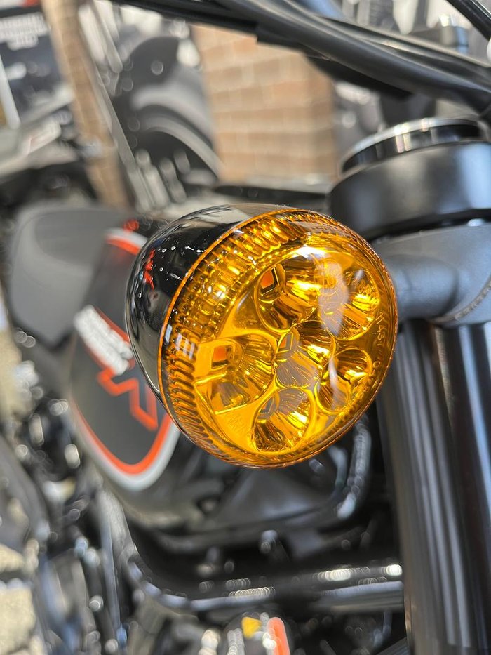 2024 Harley-Davidson X 500 X Black