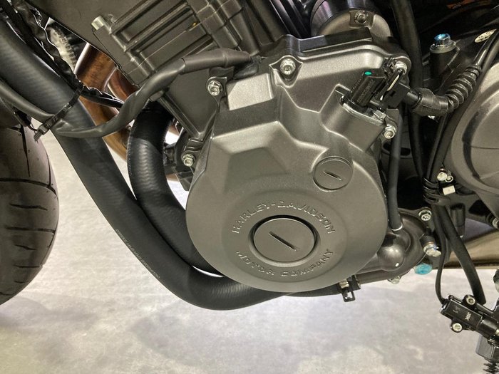 2024 Harley-Davidson X 350 X Orange