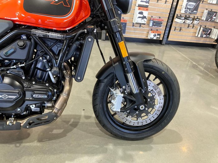 2024 Harley-Davidson X 500 X Orange