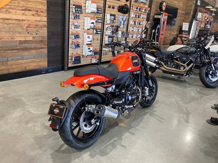 2024 Harley-Davidson X 500 X Orange