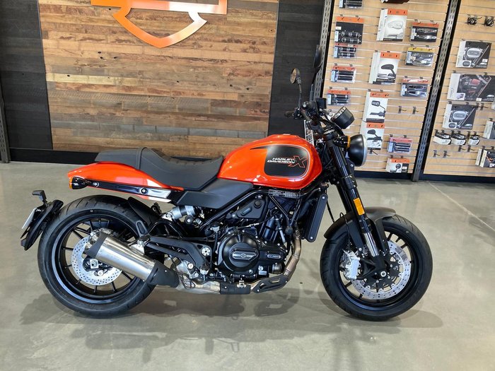2024 Harley-Davidson X 500 X Orange