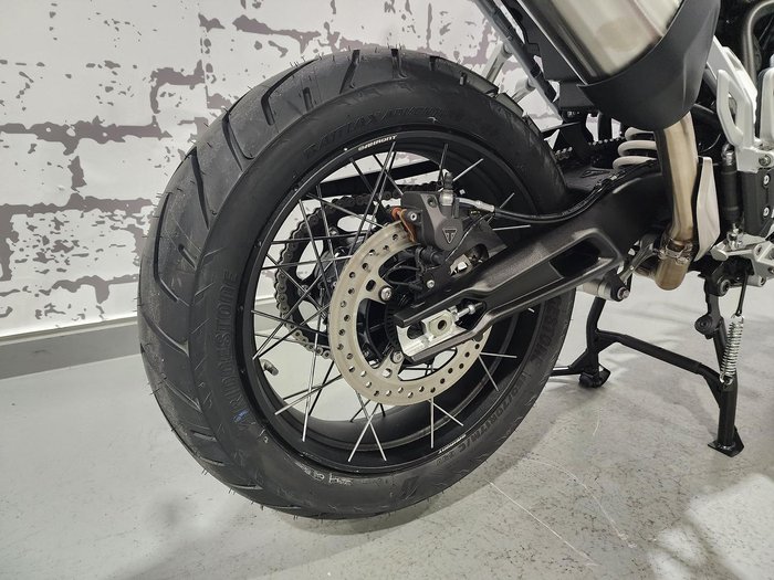 2024 Triumph Tiger 900 Rally Pro Tiger Grey