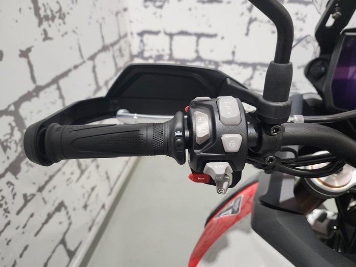 2024 Triumph Tiger 900 Rally Pro Tiger Grey