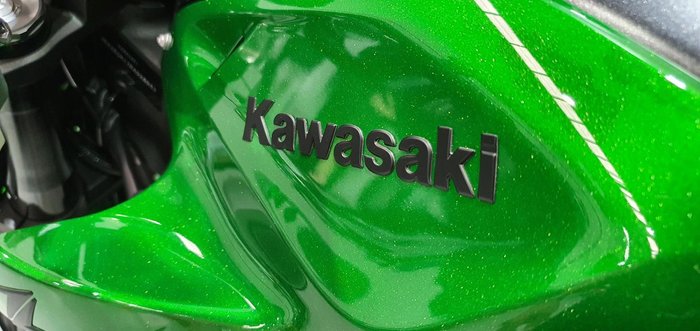 2024 Kawasaki Z1000 ABS Z Green