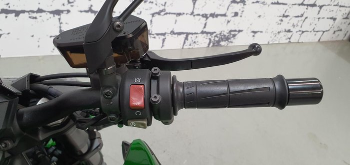 2024 Kawasaki Z1000 ABS Z Green