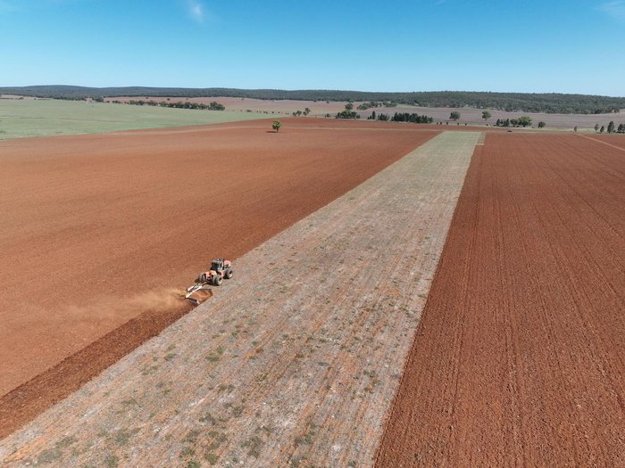 0 Baldan Crsg 48 Plate Rigid Offset Disc New