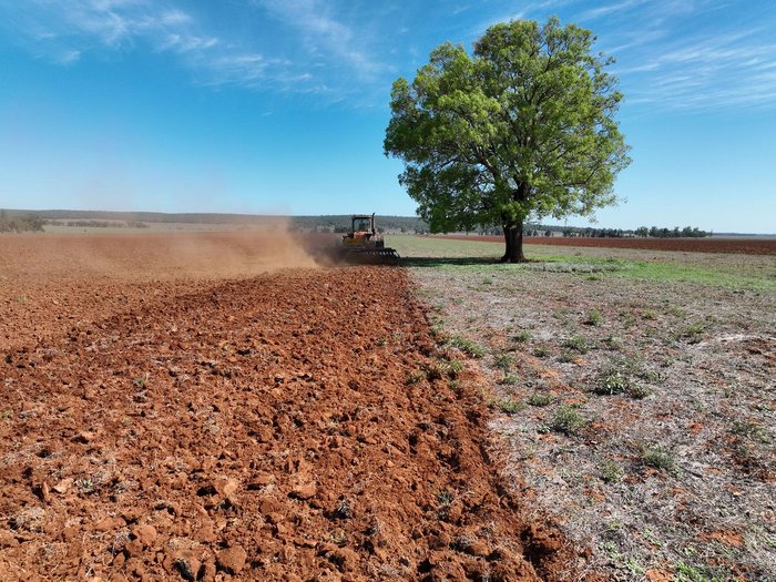 0 Baldan Crsg 48 Plate Rigid Offset Disc New