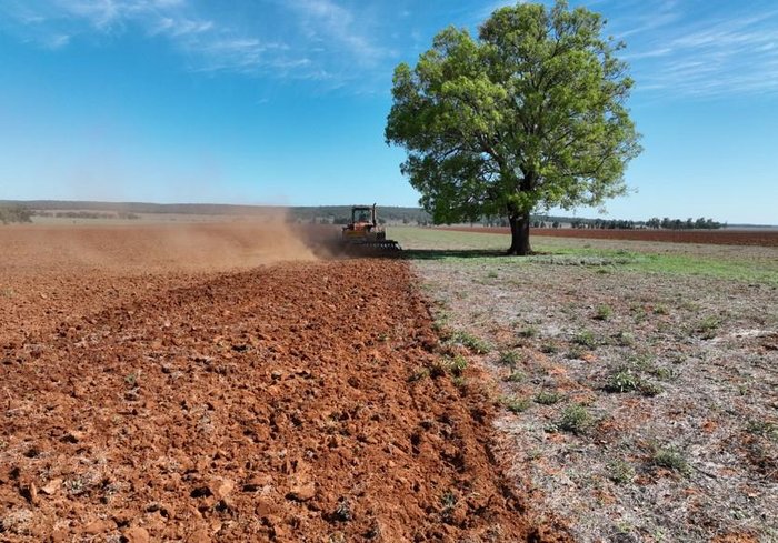 0 Baldan Crsg 48 Plate Rigid Offset Disc New