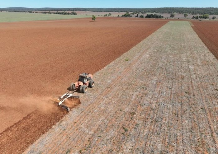 0 Baldan Crsg 48 Plate Rigid Offset Disc New