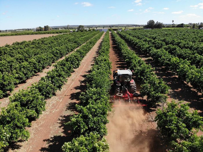 0 SERAFIN ECO SPEEDE 28 PLATE SPEED DISC 3.5M NEW RED