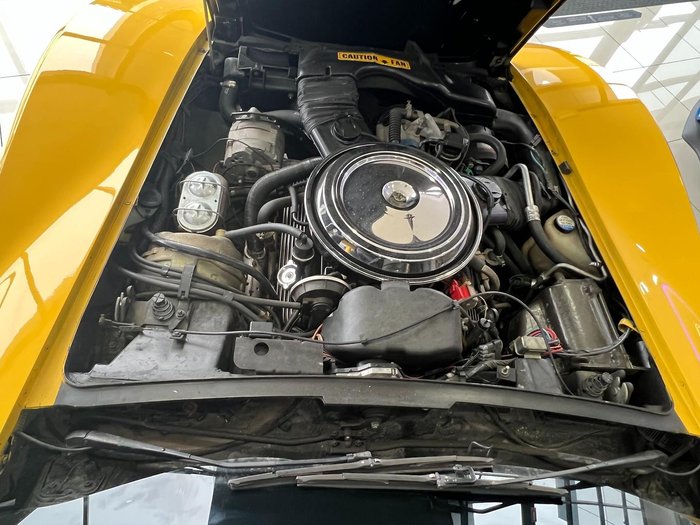 1981 Chevrolet Corvette C3 Yellow