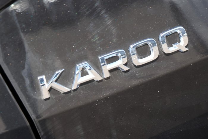 2024 SKODA Karoq 110TSI