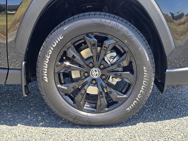 2024 Toyota RAV4 Cruiser