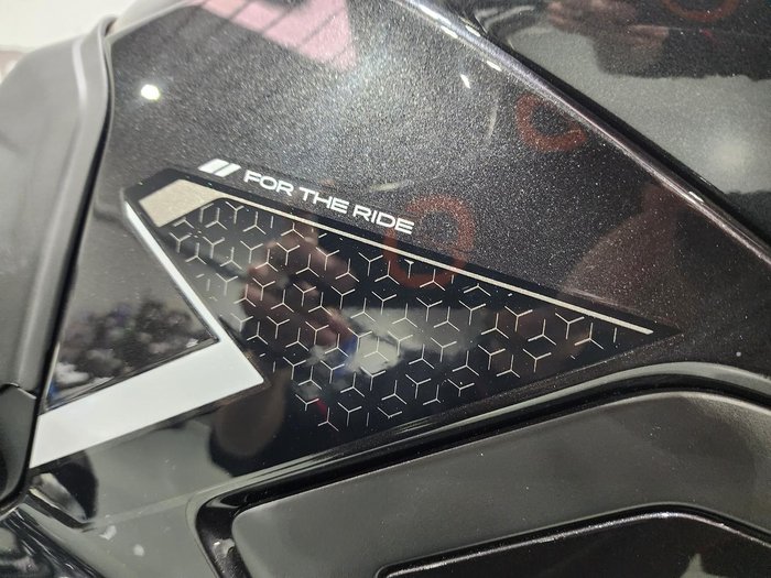 2025 Triumph Tiger 900 Rally Pro Tiger Black