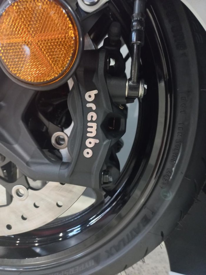 2024 Suzuki Hayabusa (GSX1300R) Hayabusa White