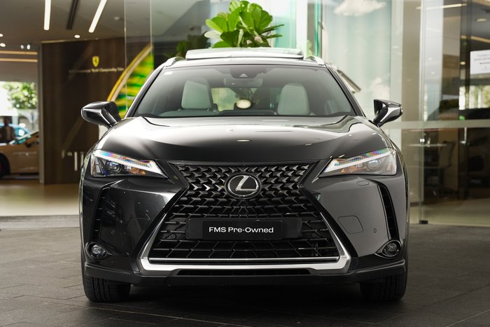 2023 Lexus UX 250h Luxury