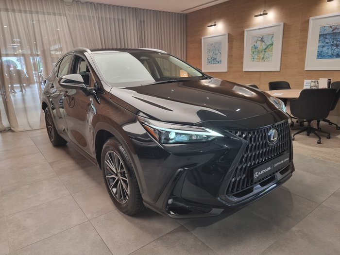 2025 Lexus NX250