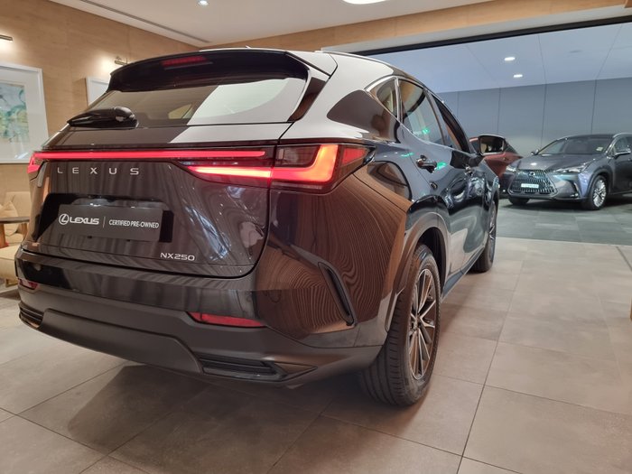 2025 Lexus NX250 Base 2.5L Petrol Automatic Wagon