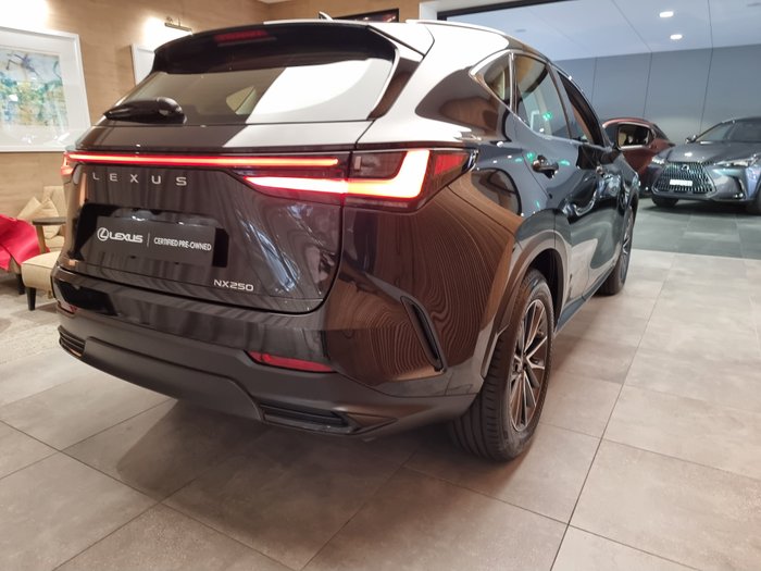 2025 Lexus NX250 Base 2.5L Petrol Automatic Wagon