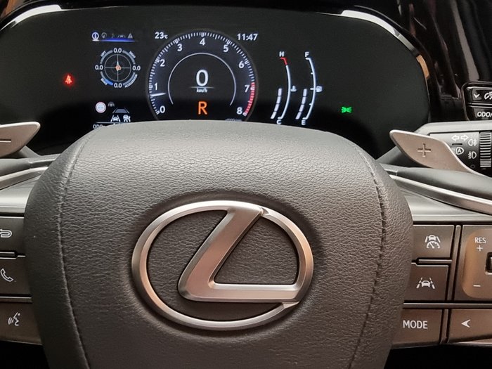 2025 Lexus NX250 Base 2.5L Petrol Automatic Wagon