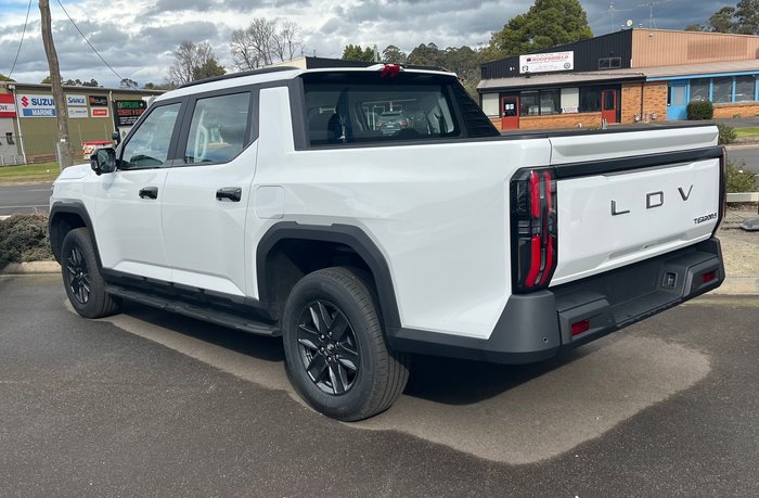 2025 Ldv Terron 9