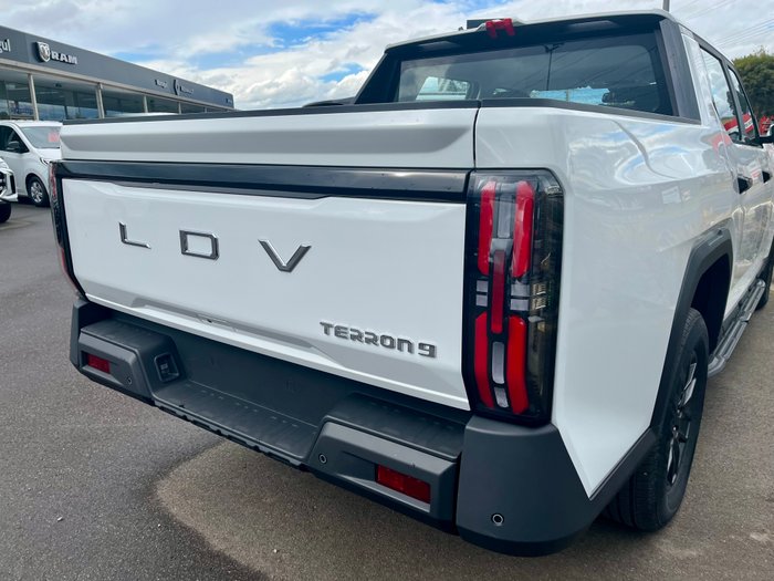 2025 Ldv Terron 9